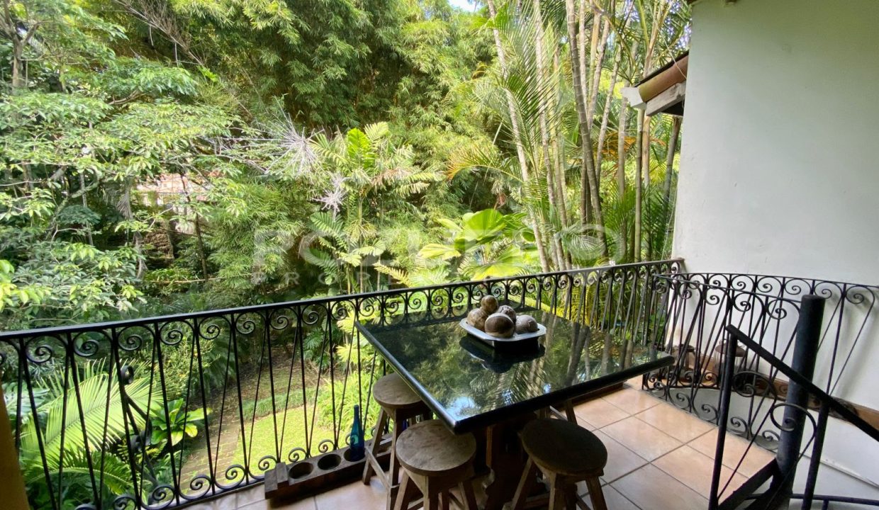 PHOTO-2022-11-21-11-10-04