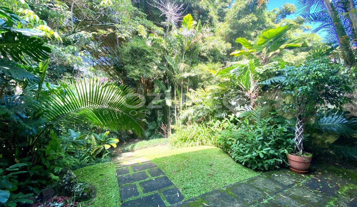 PHOTO-2022-11-21-11-10-05