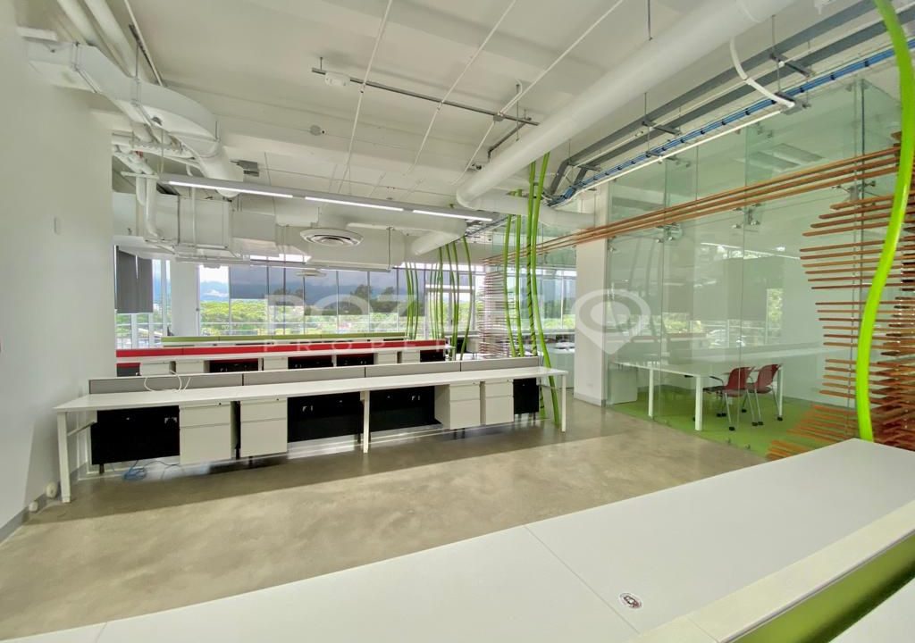 WhatsApp Image 2023-07-06 at 10.17.54 AM (4)