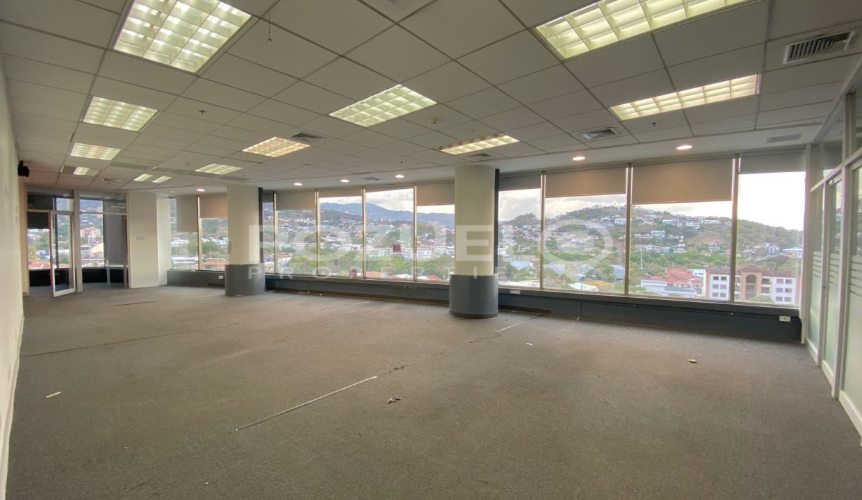 WhatsApp Image 2024-04-22 at 11.18.39 AM