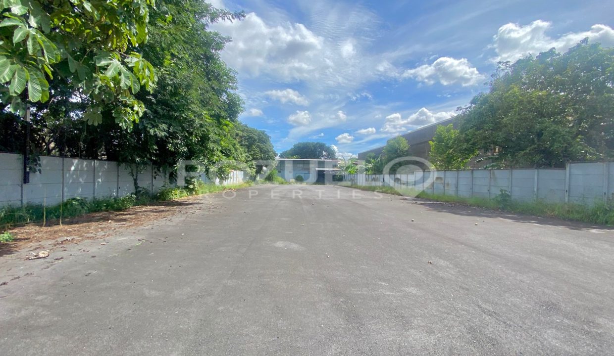 WhatsApp Image 2024-08-12 at 8.58.28 PM