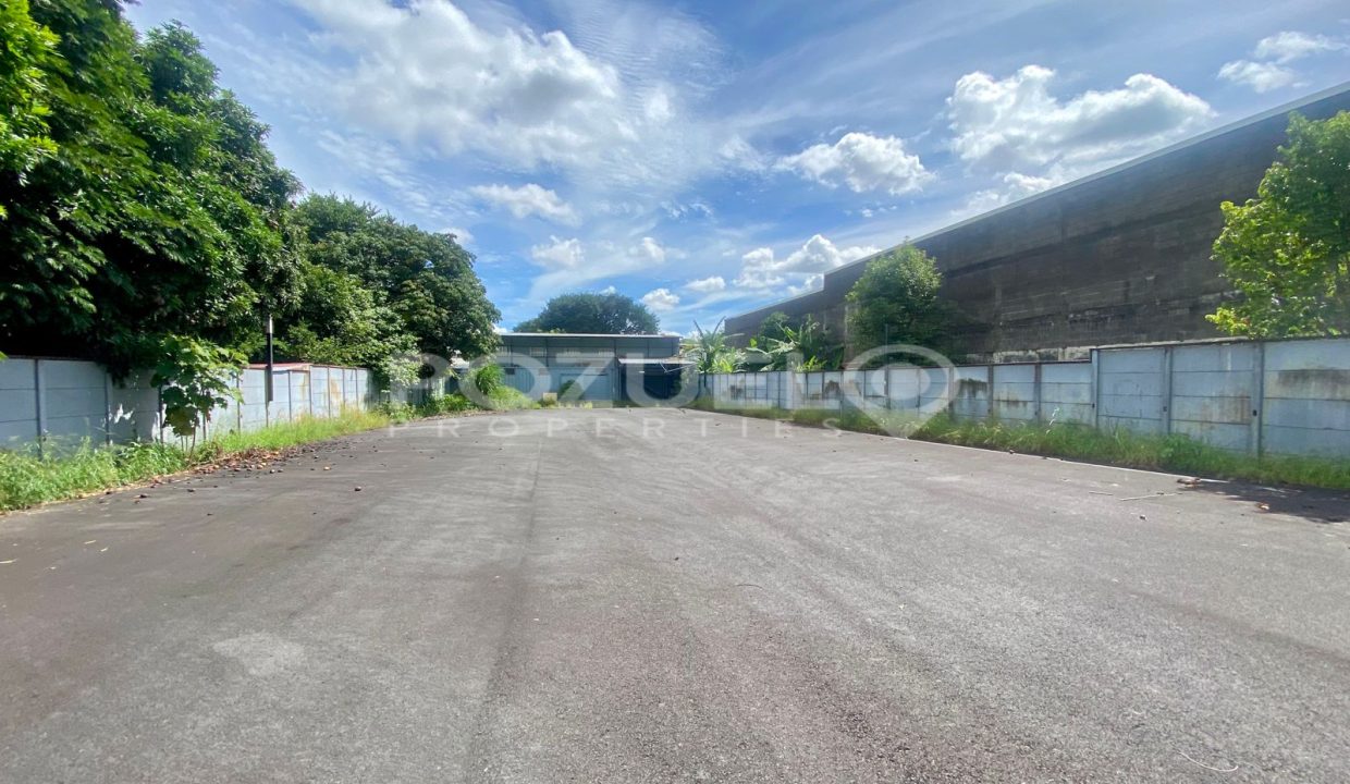 WhatsApp Image 2024-08-12 at 8.58.29 PM