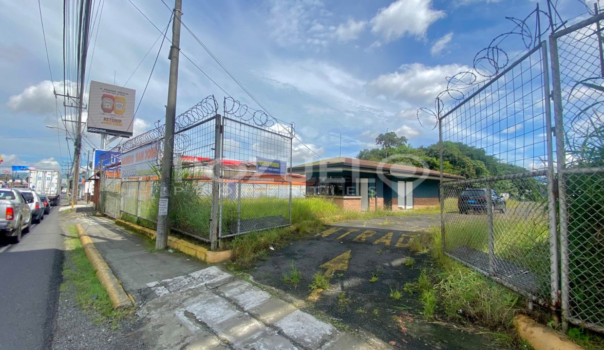 WhatsApp Image 2024-08-12 at 8.58.30 PM (1)