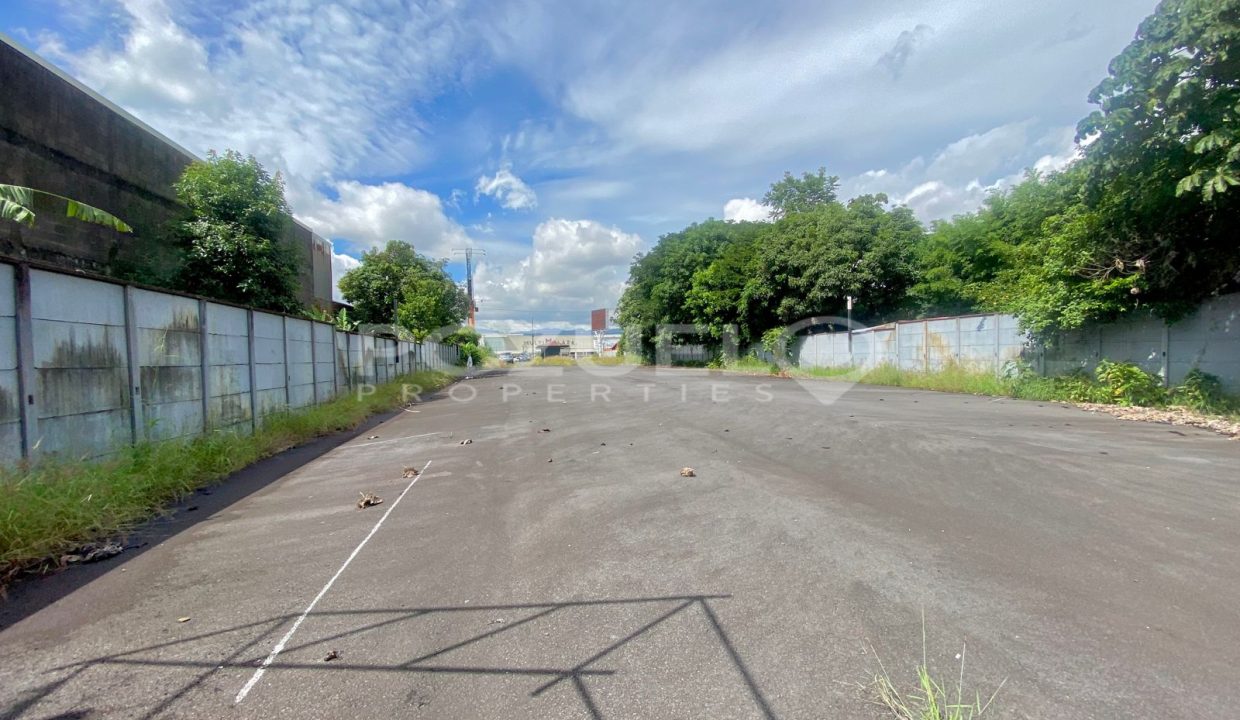 WhatsApp Image 2024-08-12 at 8.58.30 PM