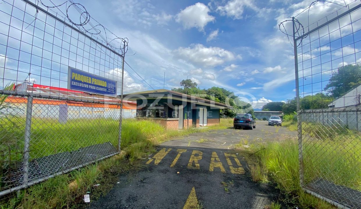 WhatsApp Image 2024-08-12 at 8.58.31 PM