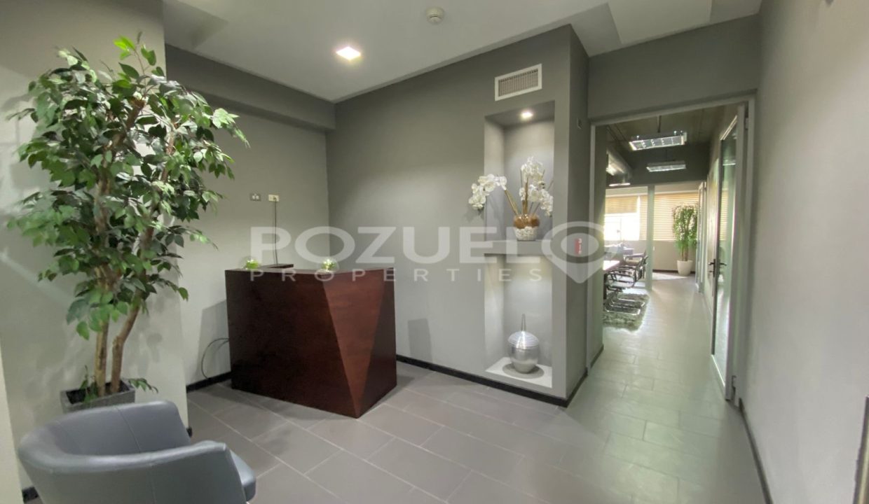 WhatsApp Image 2024-08-12 at 9.15.40 PM