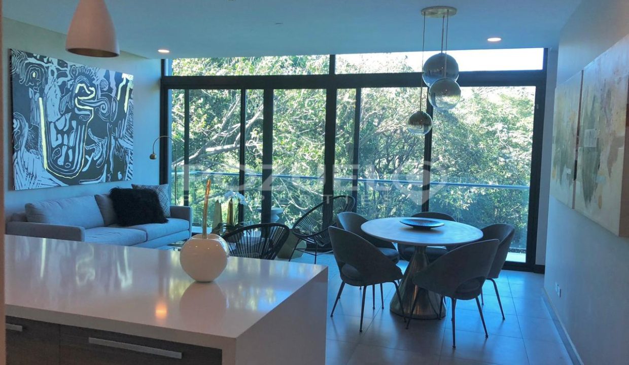 WhatsApp Image 2024-11-13 at 8.39.39 AM (1)