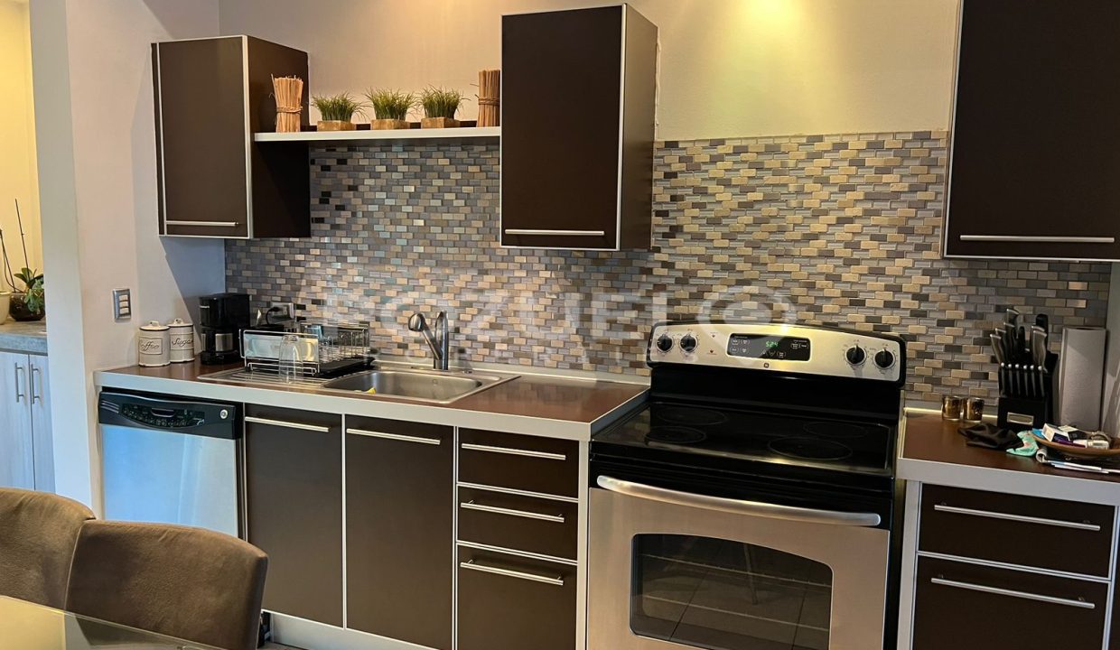 WhatsApp Image 2024-12-12 at 11.50.32 AM