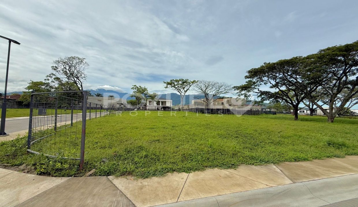 WhatsApp Image 2025-07-29 at 4.06.36 PM