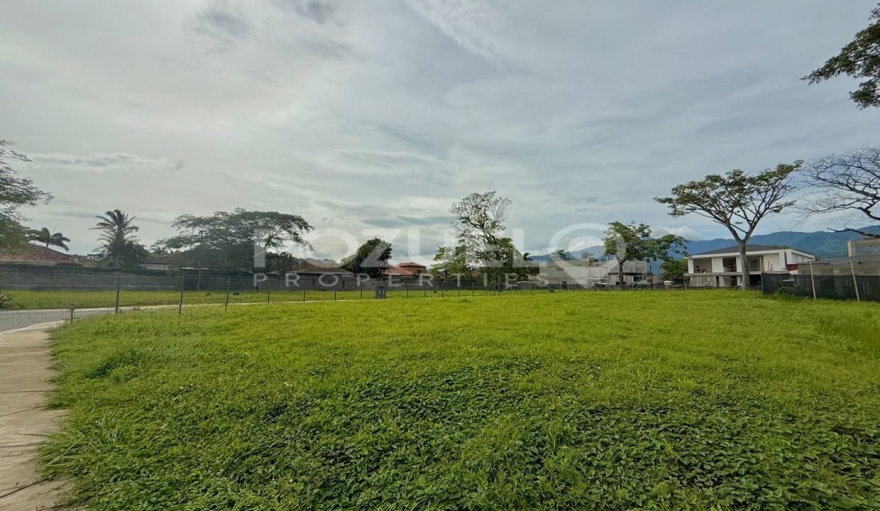 WhatsApp Image 2025-07-29 at 4.06.37 PM (1)