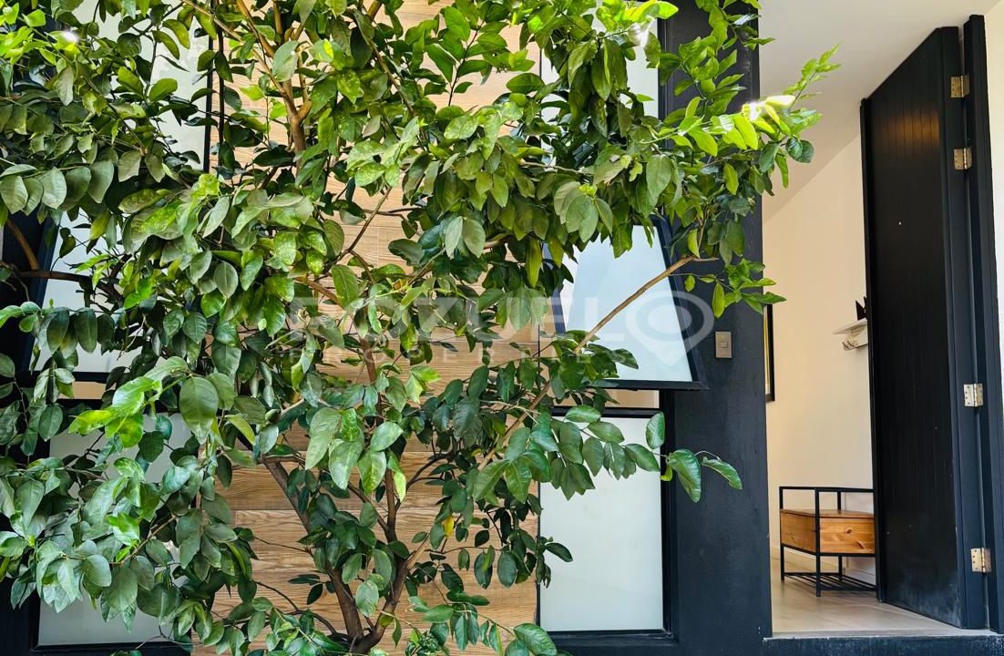 WhatsApp Image 2025-09-10 at 11.51.15 AM (3)