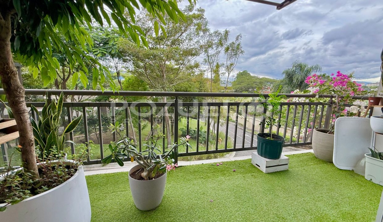 WhatsApp Image 2025-11-11 at 9.29.50 AM (2)