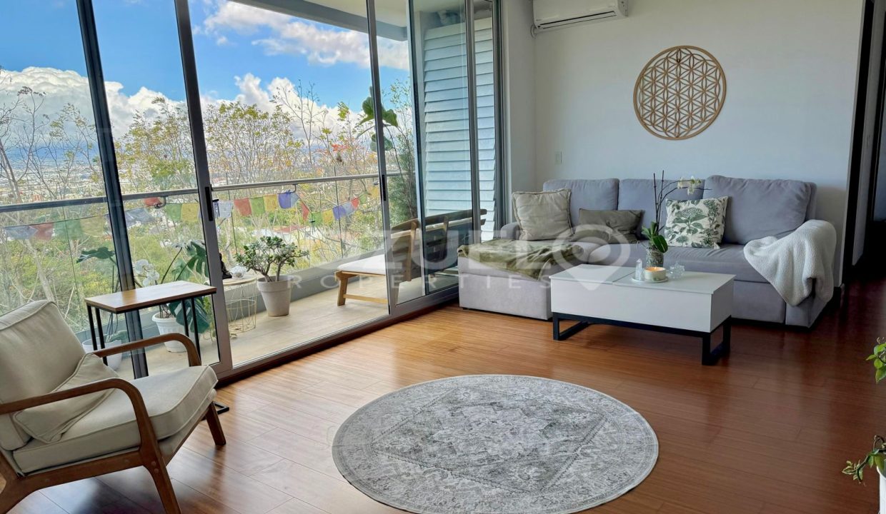 WhatsApp Image 2026-01-29 at 7.16.52 PM (1)