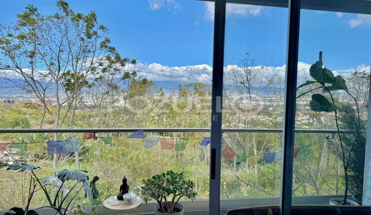 WhatsApp Image 2026-01-29 at 7.16.52 PM